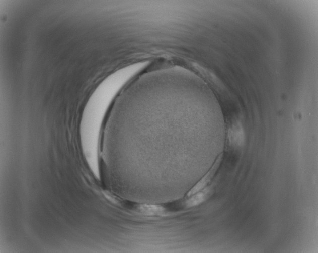 X0000083580429200702231700