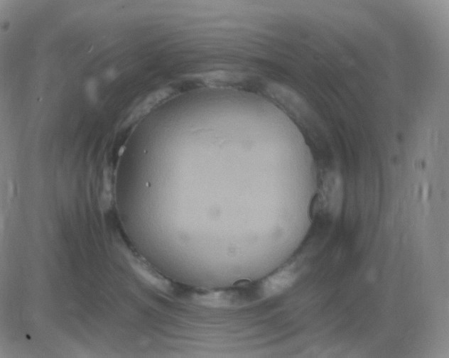 X0000083580430200702231700