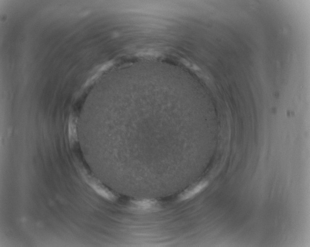 X0000083580432200702231700