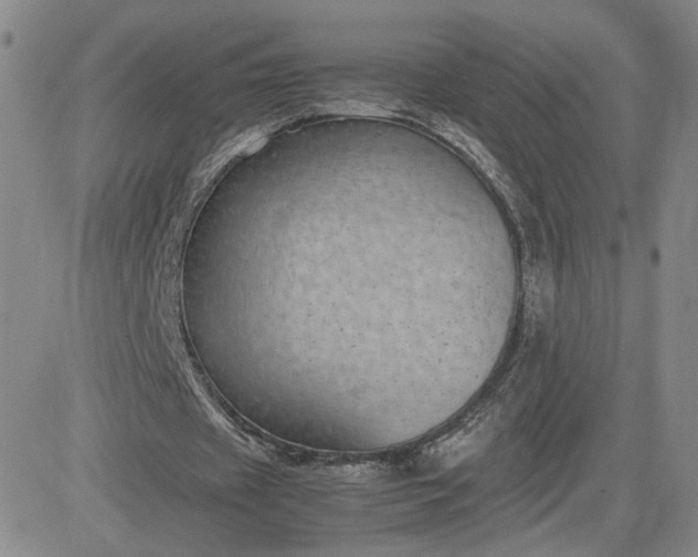 X0000083580433200702231659