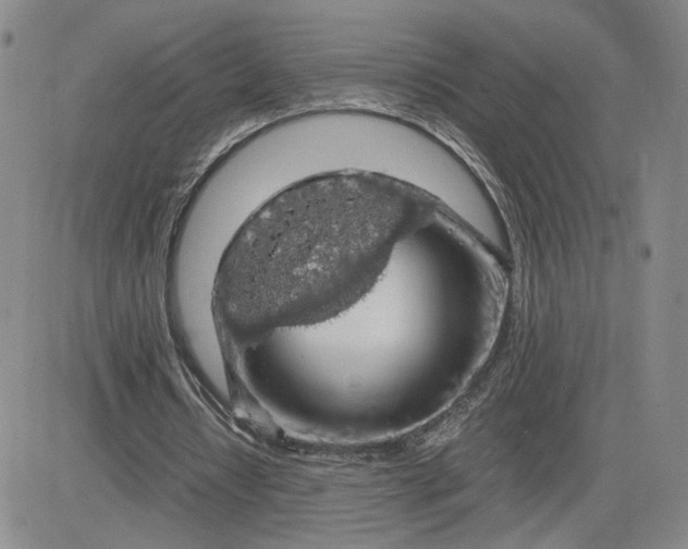 X0000083580434200702231659