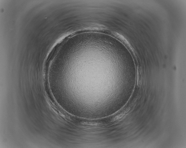 X0000083580435200702231659