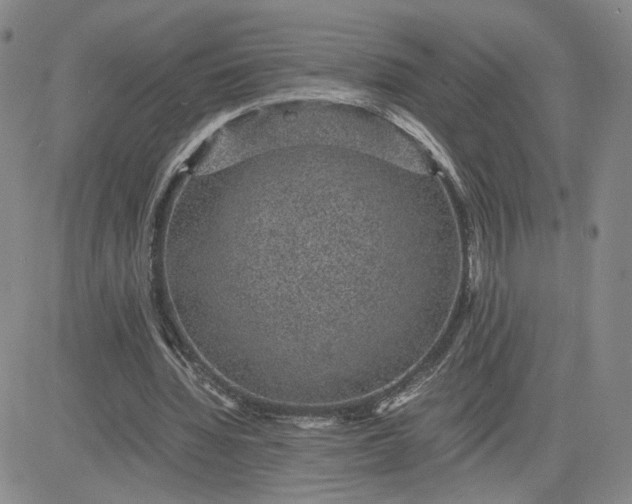 X0000083580436200702231659