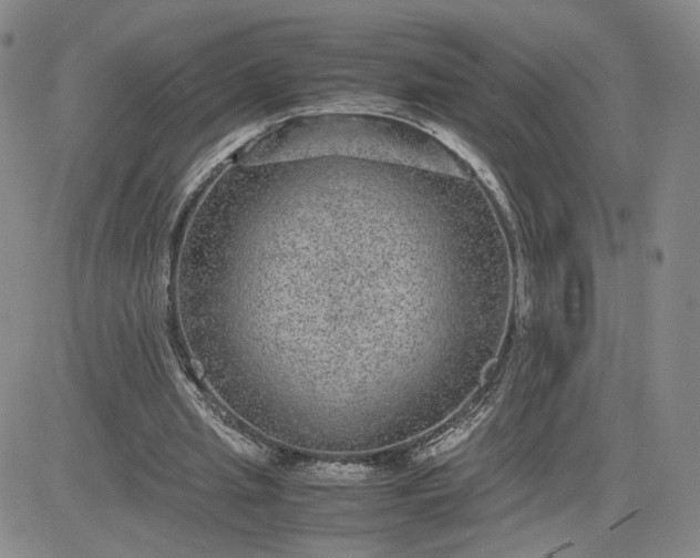 X0000083580437200702231659