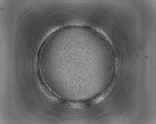 X0000083580439200702231659