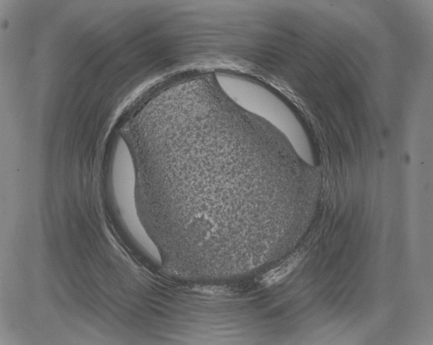 X0000083580440200702231659