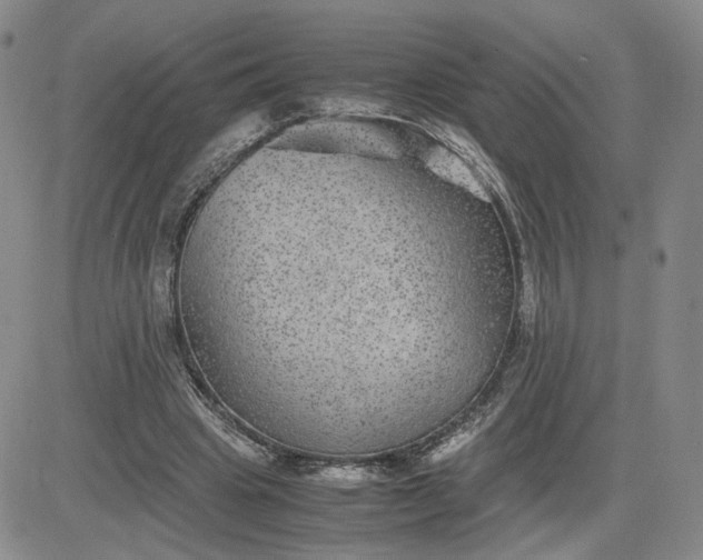 X0000083580441200702231659