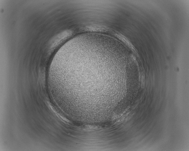 X0000083580442200702231659