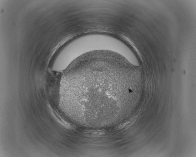 X0000083580443200702231659