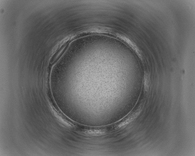 X0000083580445200702231659