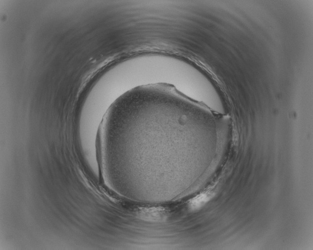 X0000083580446200702231659