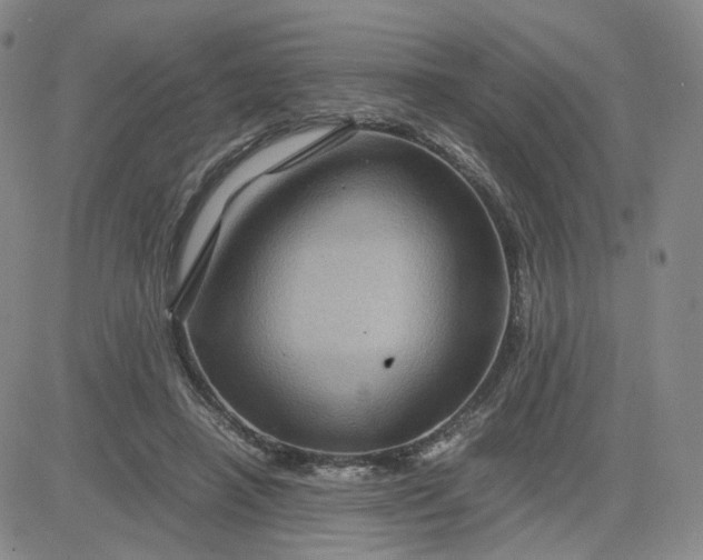 X0000083580450200702231659