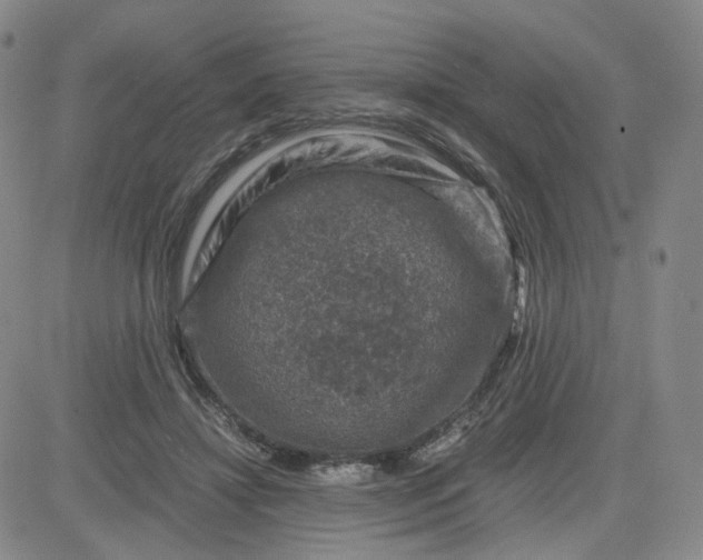 X0000083580452200702231659