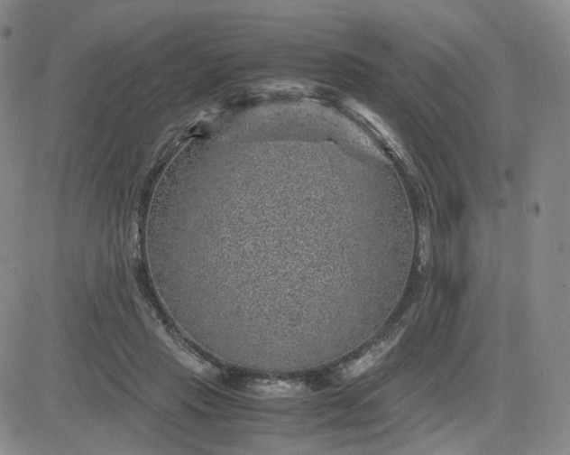 X0000083580453200702231659