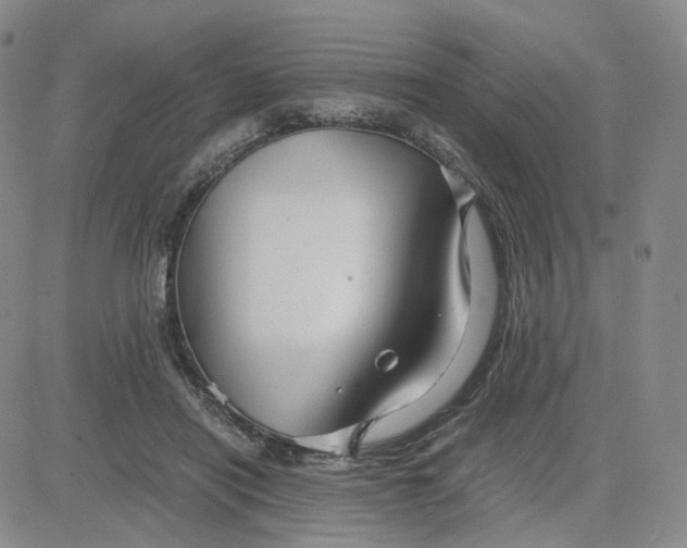 X0000083580454200702231659