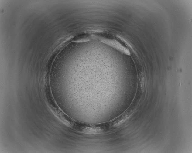 X0000083580455200702231659