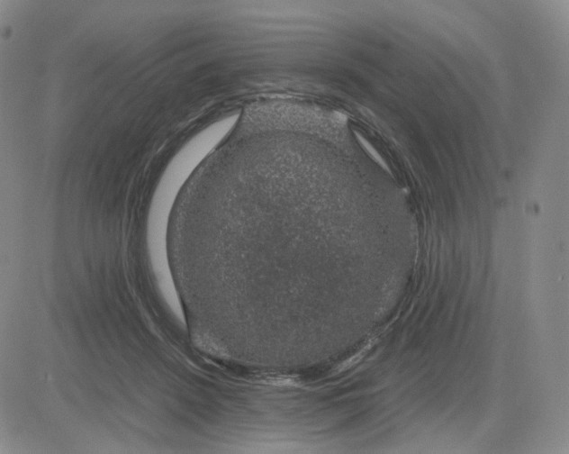 X0000083580456200702231659