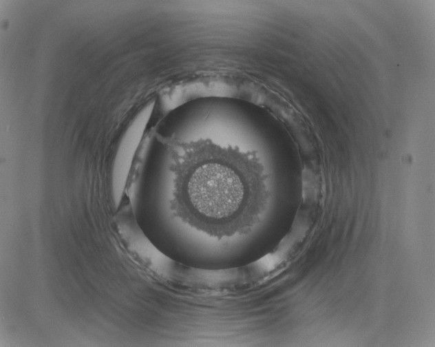 X0000083580458200702231659