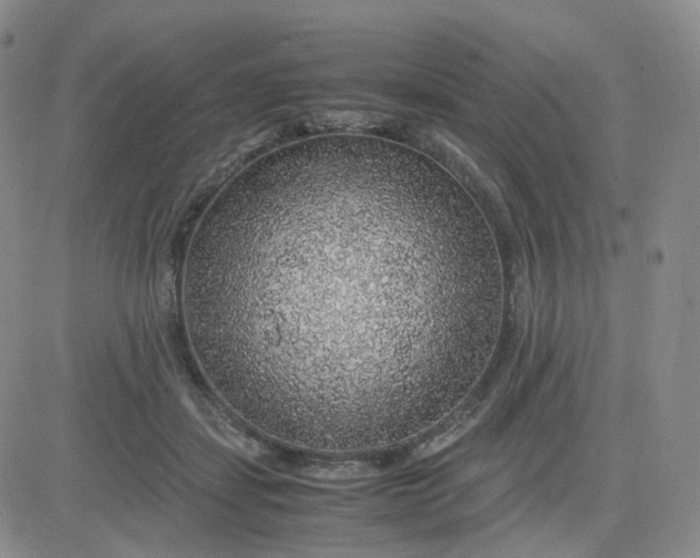 X0000083580459200702231659