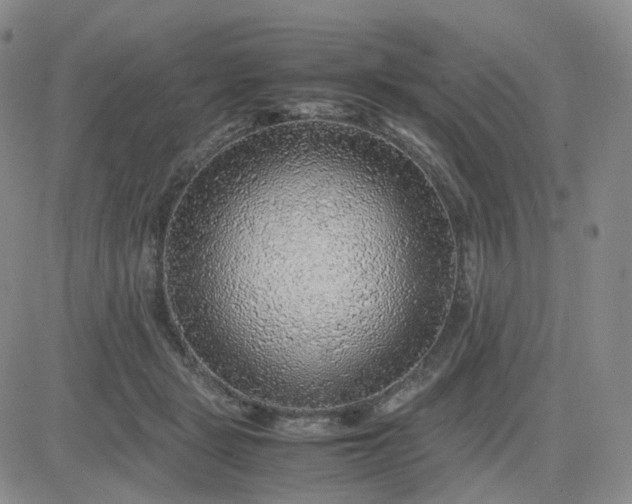 X0000083580461200702231659