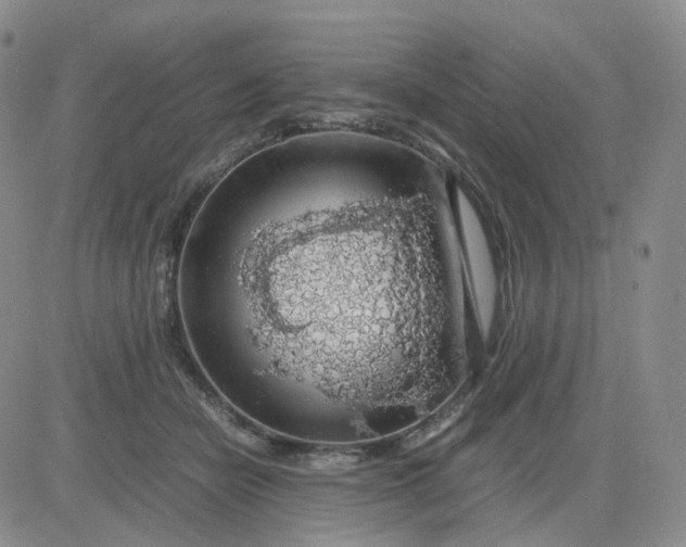 X0000083580462200702231659