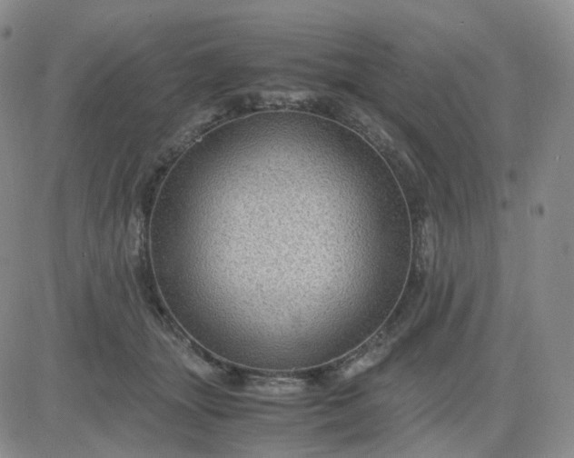 X0000083580463200702231659