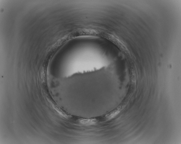 X0000083580465200702231700