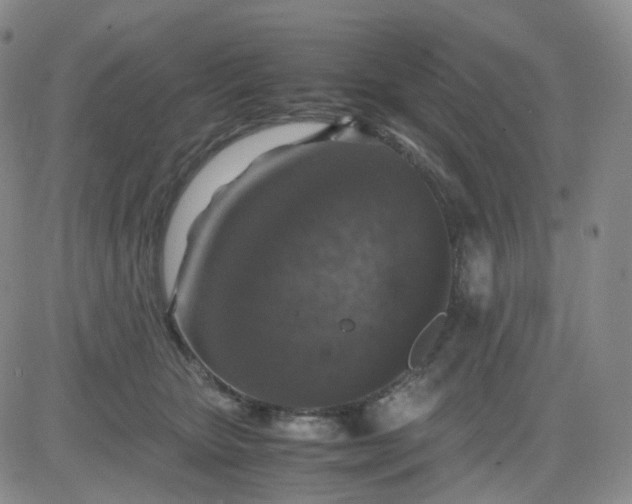 X0000083580467200702231700