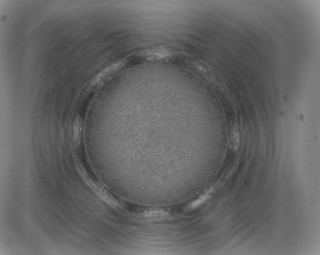 X0000083580468200702231700