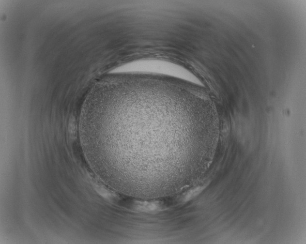 X0000083580469200702231700