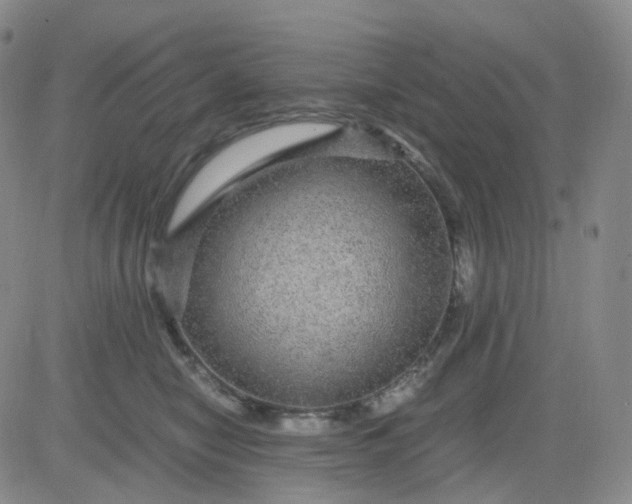 X0000083580470200702231700