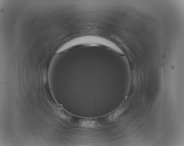 X0000083580471200702231700