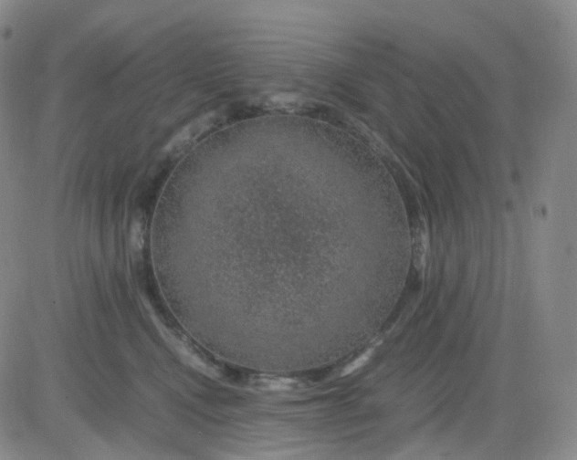 X0000083580472200702231700