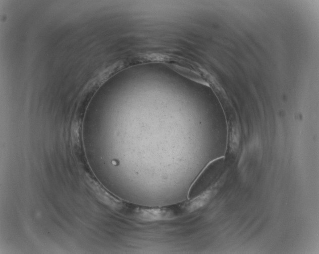 X0000083580473200702231700