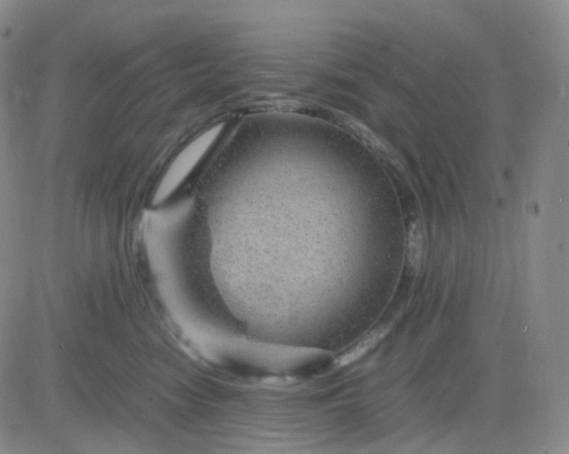 X0000083580474200702231700