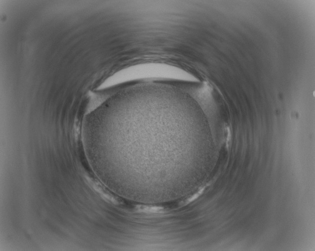 X0000083580476200702231700