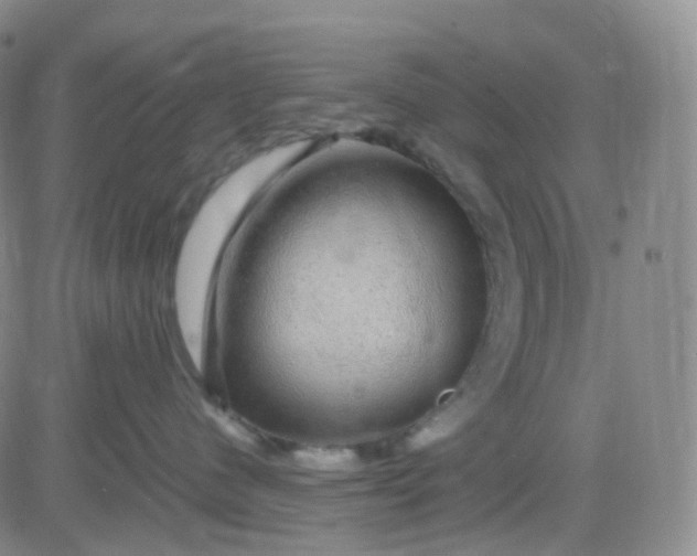 X0000083580480200702231700