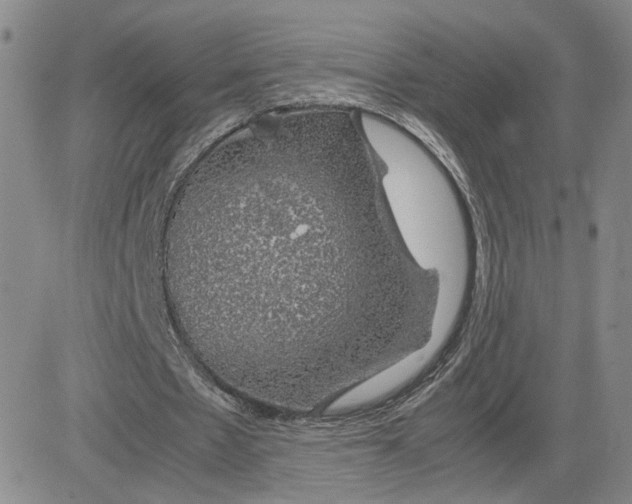 X0000083580481200702231659