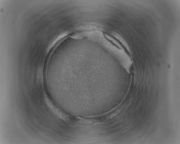 X0000083580482200702231659