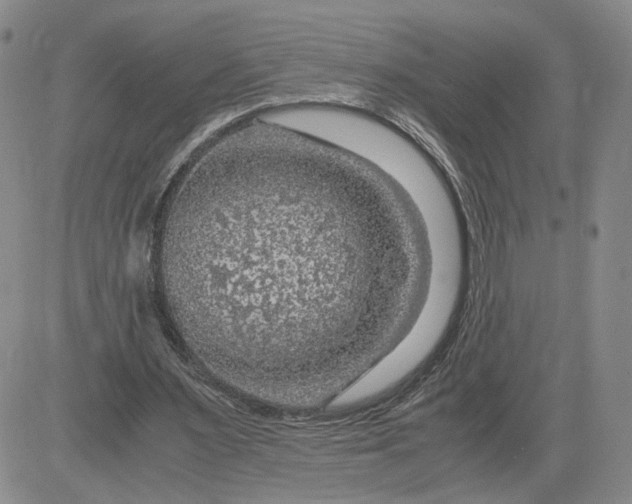 X0000083580483200702231659