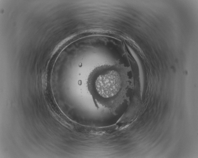 X0000083580484200702231659