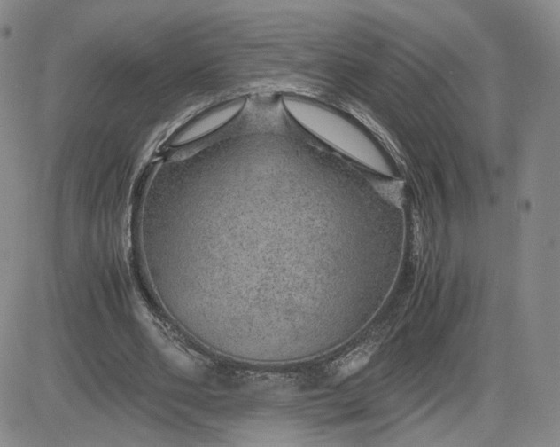 X0000083580486200702231659