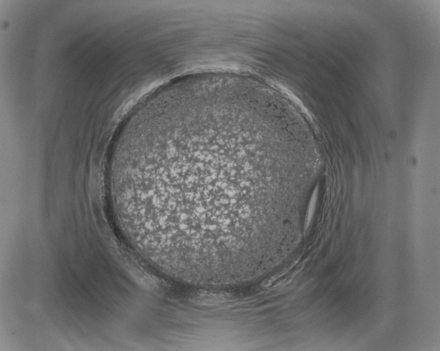 X0000083580487200702231659