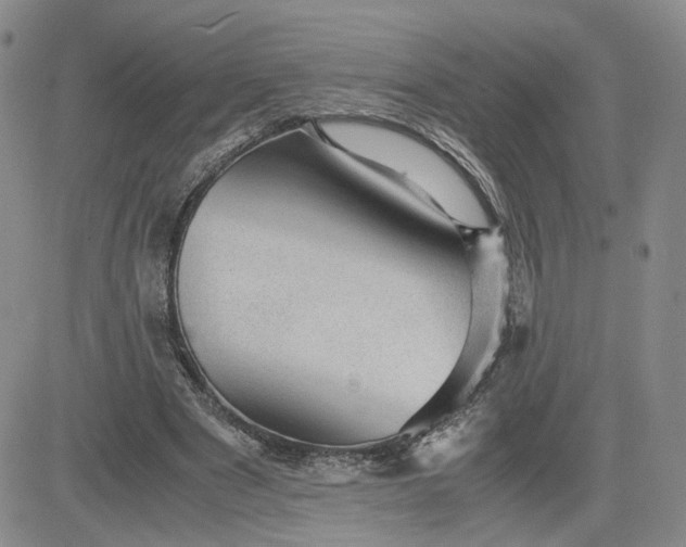 X0000083580489200702231659