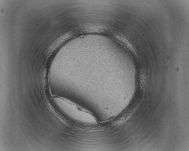 X0000083580490200702231659