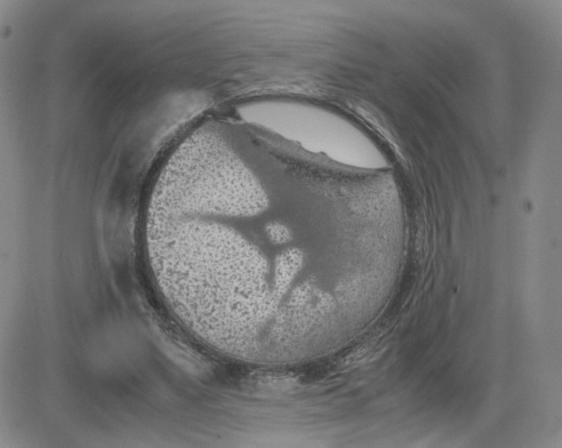 X0000083580491200702231659