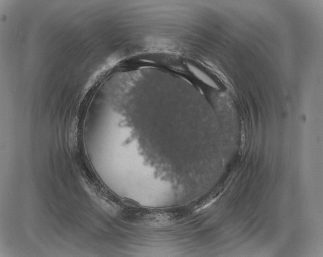 X0000083580492200702231659