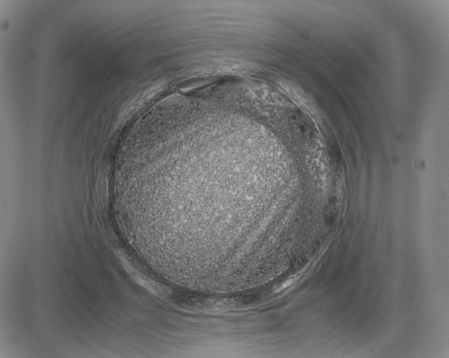 X0000083580493200702231659