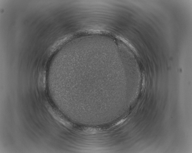 X0000083580494200702231659