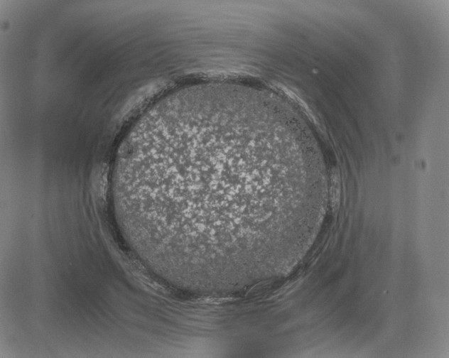 X0000083580495200702231659